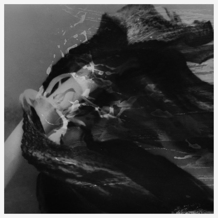 WILL SAMSON - ACTIVE IMAGINATION