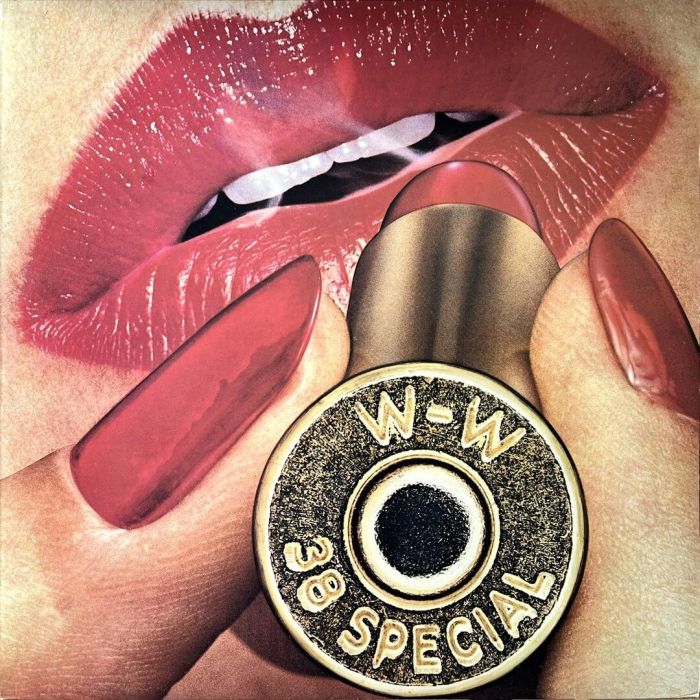 38 SPECIAL - ROCKIN' INTO THE NIGHT