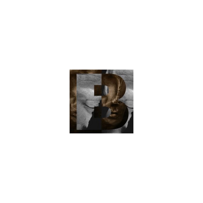 B/CHVE/SYNDROME - REWORKS