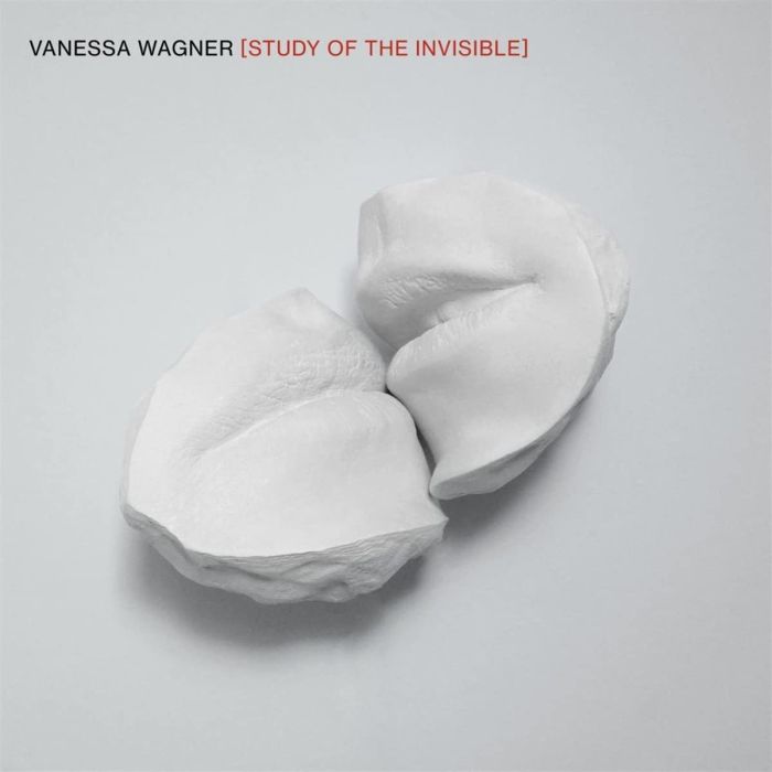 VANESSA WAGNER - STUDY OF THE INVISIBLE