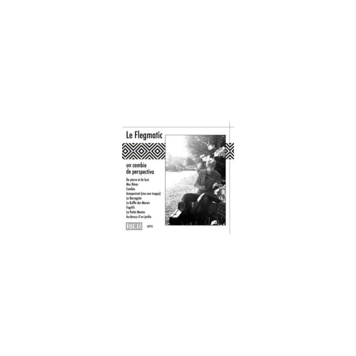 LE FLEGMATIC - UN CAMBIO DE PERSPECTIVA