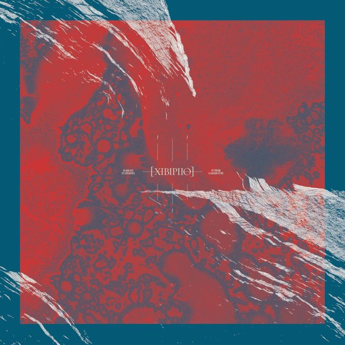 TROUM & RAISON D'ETRE - XIBIPIIO