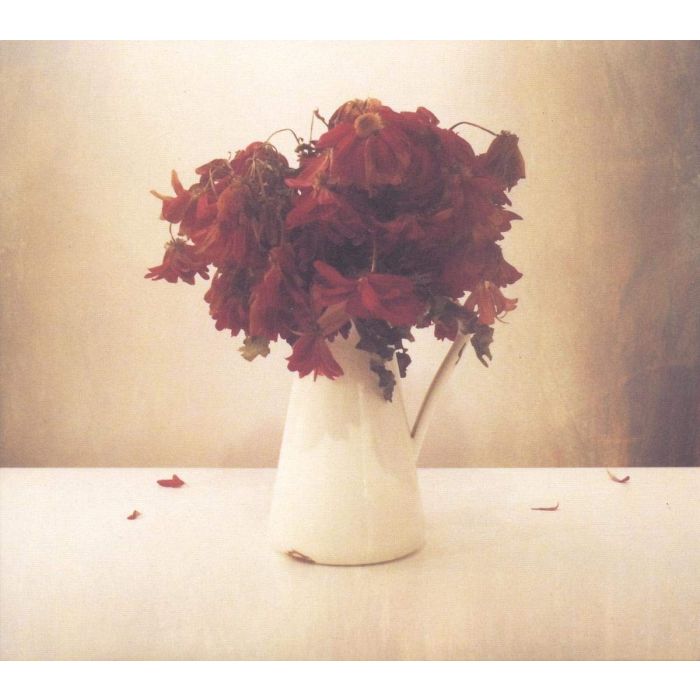 LION & THE WOLF - CARDIAC HOTEL