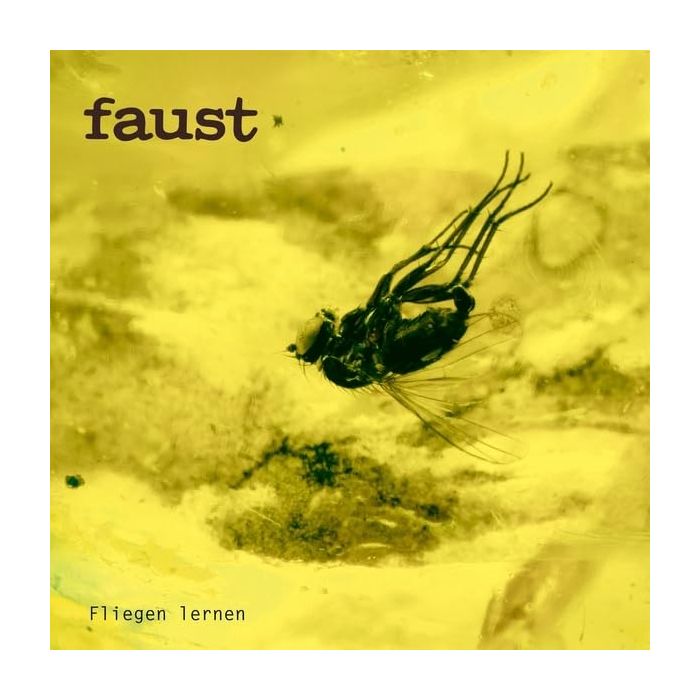 FAUST - FLIEGEN LERNEN