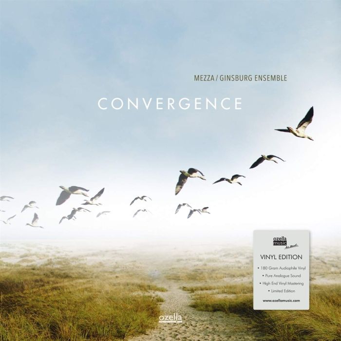 MEZZA GINSBURG ENSEMBLE - CONVERGENCE