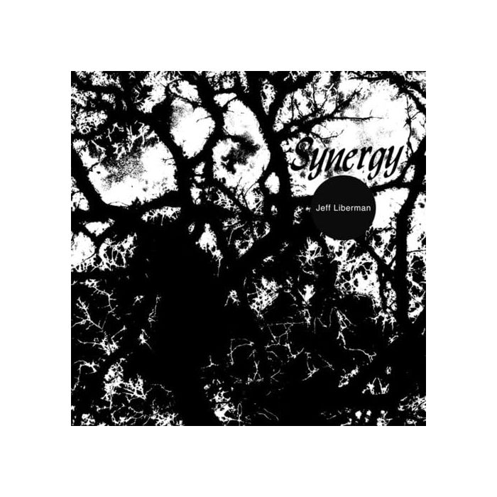 JEFFERY LIBERMAN - SYNERGY