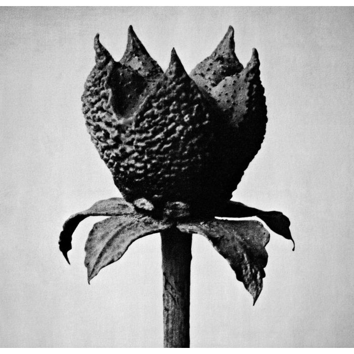 MASAYOSHI FUJITA - BOOK OF LIFE (DL CODE)