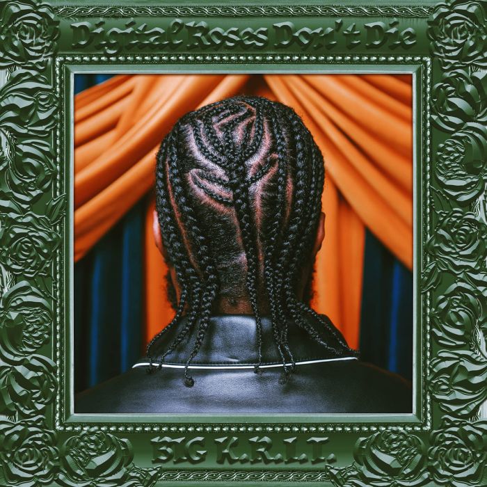 BIG K.R.I.T - DIGITAL ROSES DON'T DIE