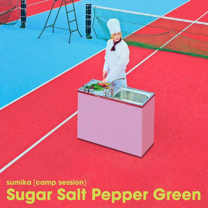 HALF MOON RUN - SALT