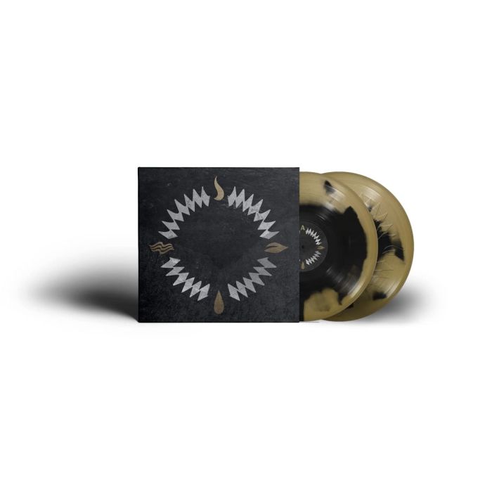 OUR HOLLOW, OUR HOME - BURN IN THE FLOOD DELUXE (GOLD & BLACK VINYL)