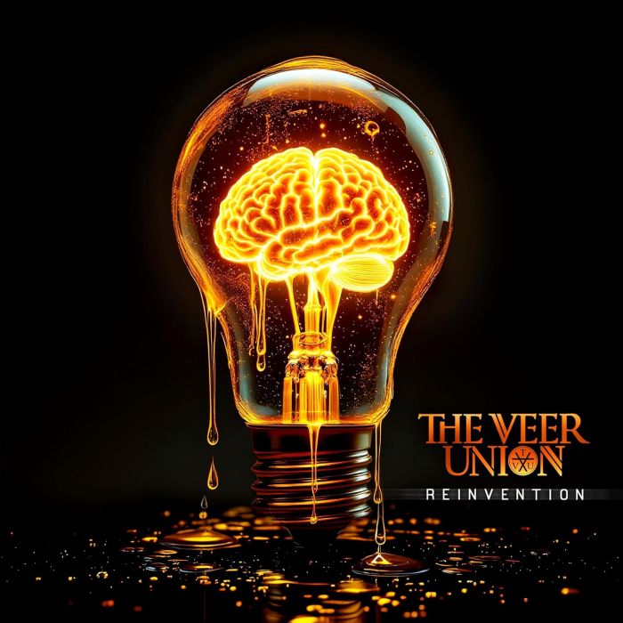 VEER UNION - REINVENTION