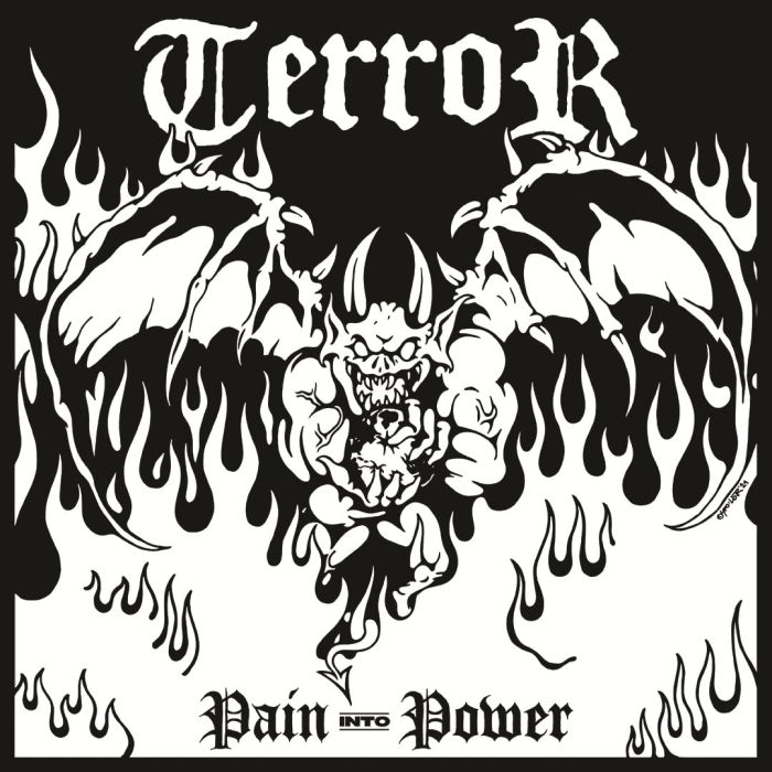 TERROR - PAIN INTO POWER