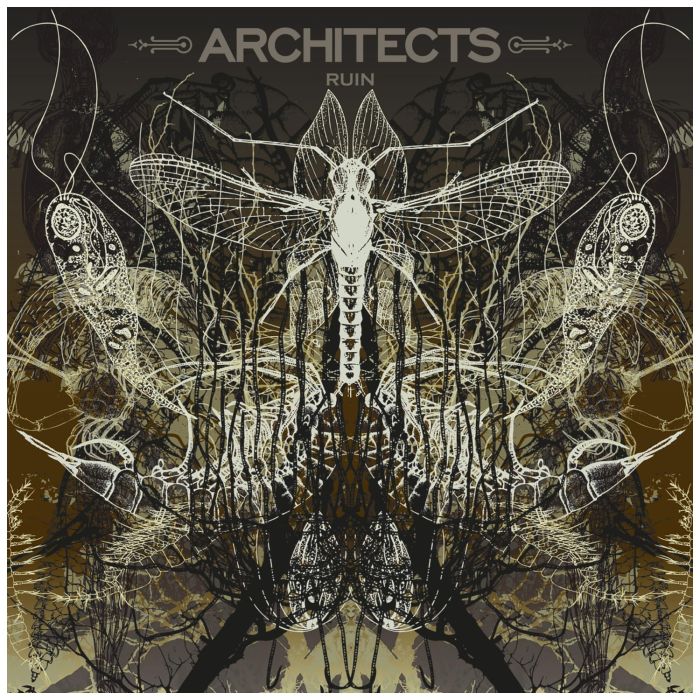 ARCHITECTS - RUIN (LIMITED/PICTURE DISC)