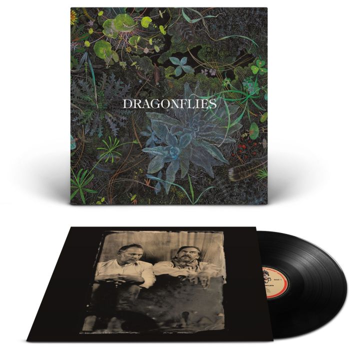 DRAGONFLIES - DRAGONFLIES