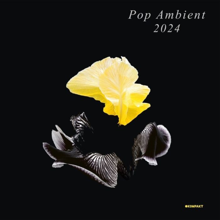 VARIOUS ARTISTS - POP AMBIENT 2024