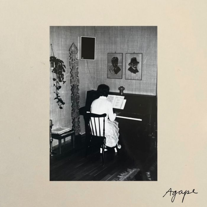 TARA NOME DOYLE - AGAPE