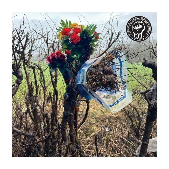 BLACK DOG - SLEEP DEPRIVATION