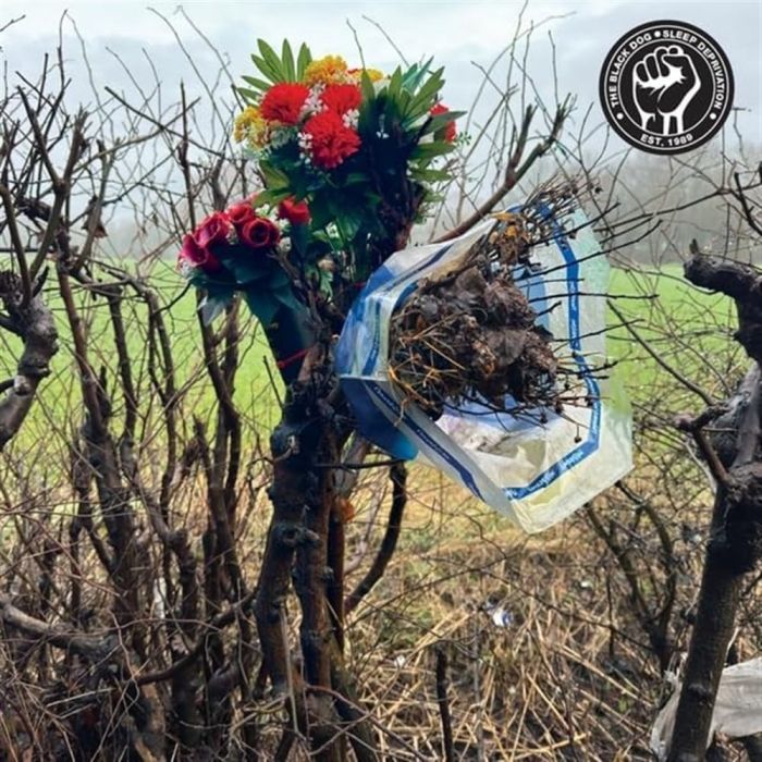 BLACK DOG - SLEEP DEPRIVATION
