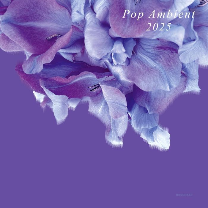 VARIOUS ARTISTS - POP AMBIENT 2025