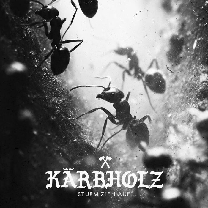 KARBHOLZ - STURM ZIEH AUF (DIGIPACK)
