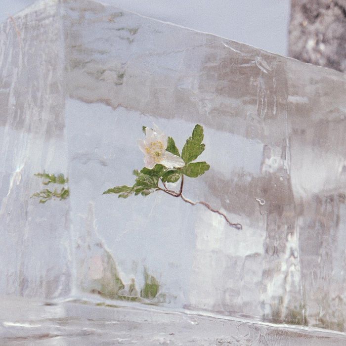 EFTERKLANG - WINDFLOWERS (CLEAR VINYL/140G)