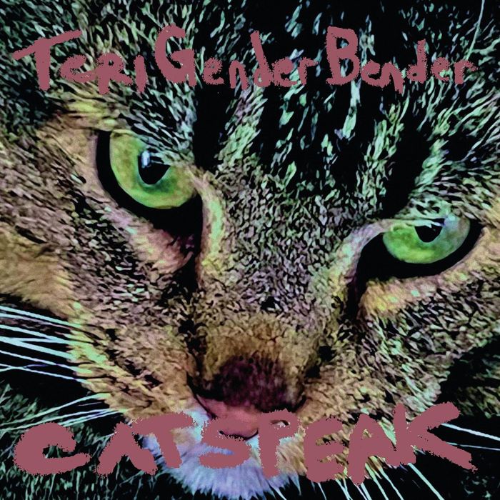 TERI GENDER BENDER - CATSPEAK