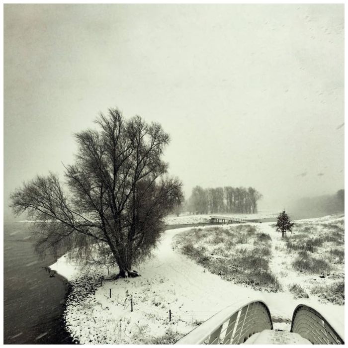 BEEQUEEN - WINTER
