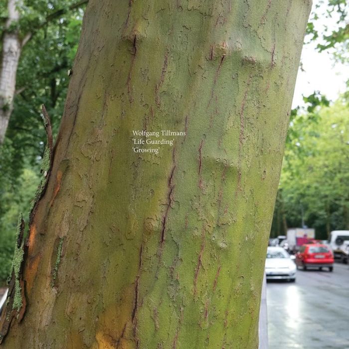 WOLFGANG TILLMANS - LIFE GUARDING/GROWING