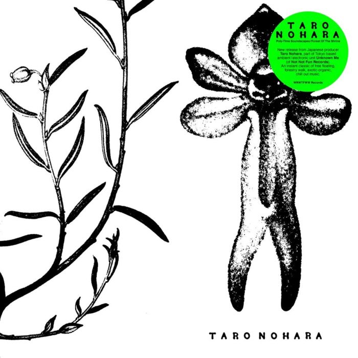 TARO NOHARA - POLY-TIME SOUNDSCAPES / FOREST OF THE SHRINE
