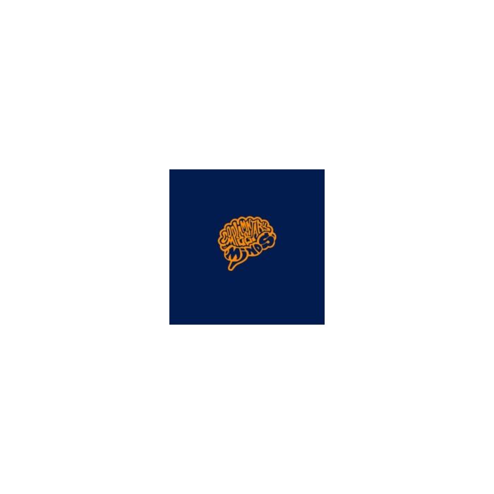 COMPLEMENTARY MINDS - BUTCH HAYNES INTRODUCES COMPLEMENTARY MINDS VOL. 1
