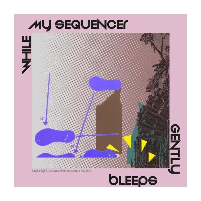 WHILE MY SEQUENCER GENTLY BLEEPS - LAST NIGHT A BASSLINE SAVED MY LIFE