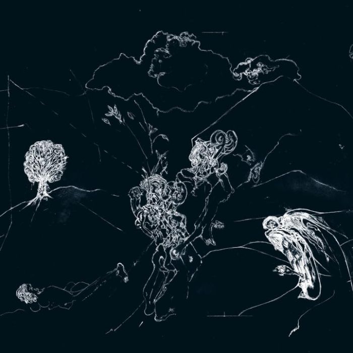 ANENON - DREAM TEMPERATURE (CLEAR VINYL)