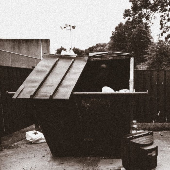 DOPPELGANGAZ - DUMPSTER DIVE