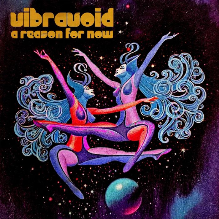 VIBRAVOID - REASON FOR NOW