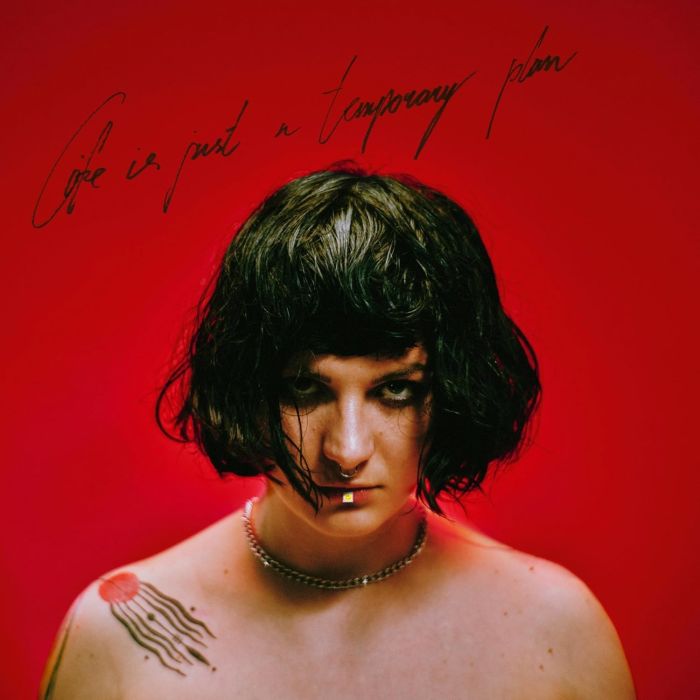 ABBIE FALLS - LIFE IS JUST A TEMPORARY PLAN