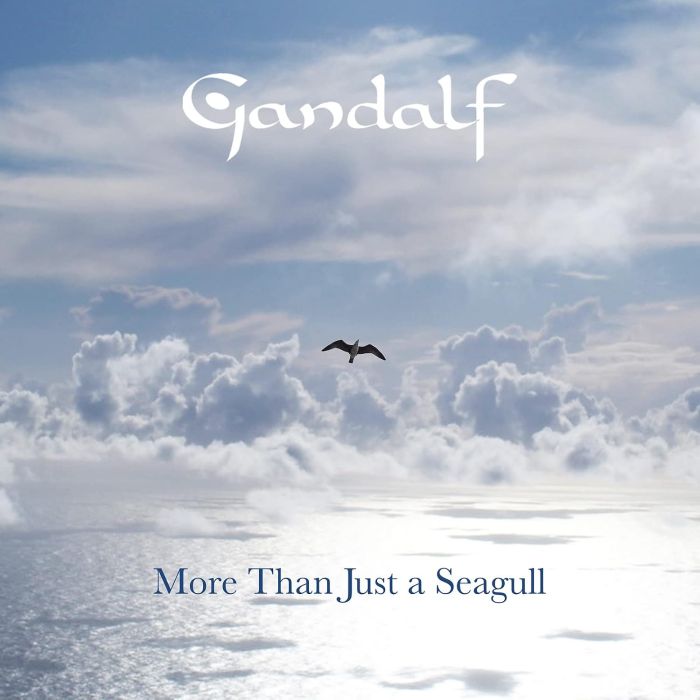GANDALF - MORE THAN JUST A SEAGULL
