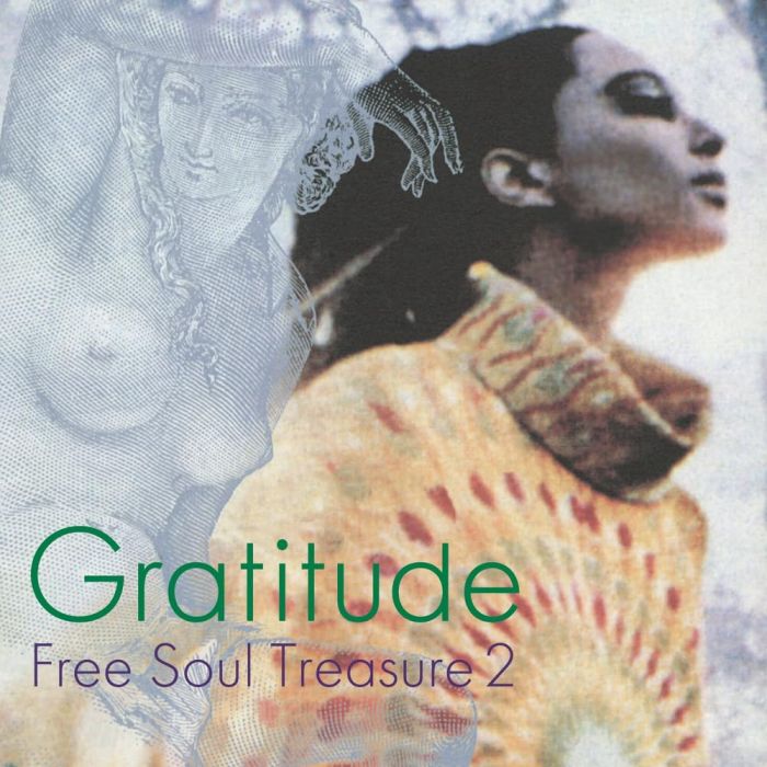 VARIOUS ARTISTS - GRATITUDE: SUBURBIA MEETS ULTRA-VYBE FREE SOUL TREASURE 2