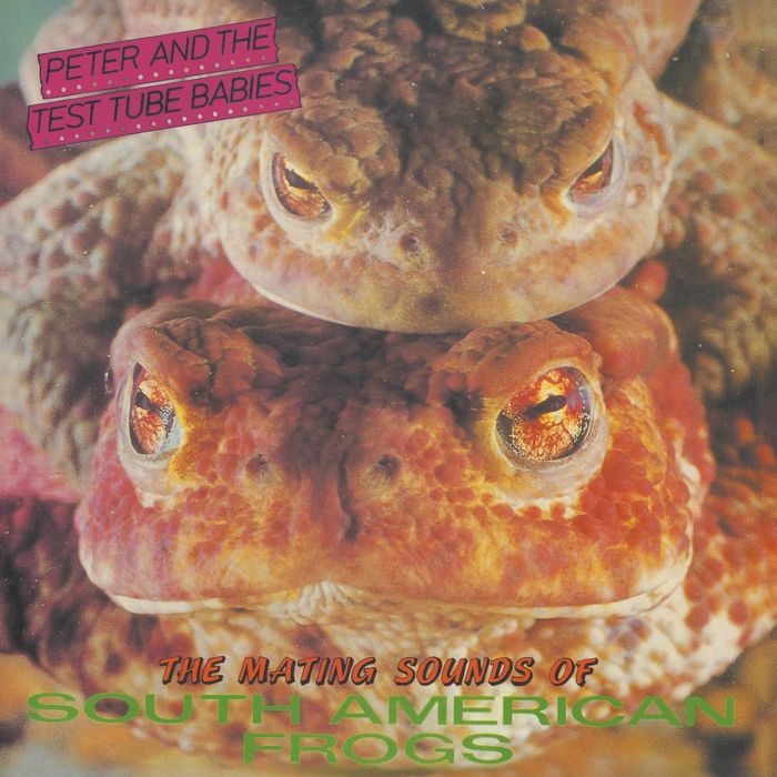 PETER & TEST TUBE BABI - MATING SOUNDS OF SOUTH AMERICAN FROGS