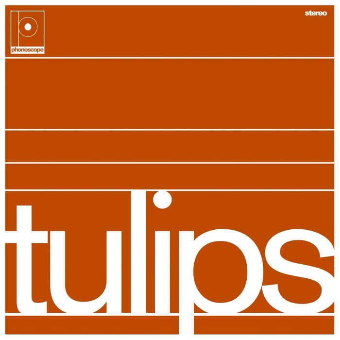 MASTON - TULIPS