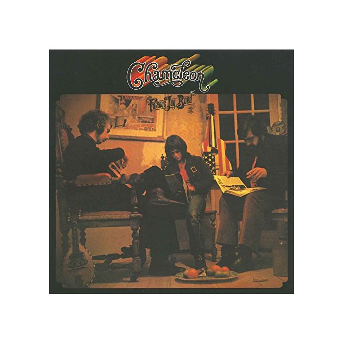 FAMOUS JUG BAND - CHAMELEON (LIMITED PAPER JACKET)