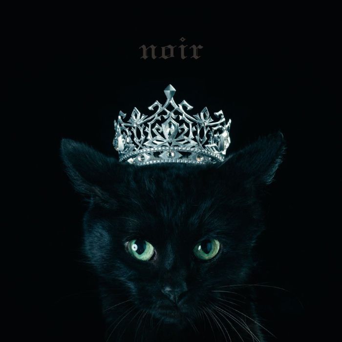 AIMER - BEST SELECTION `NOIR`
