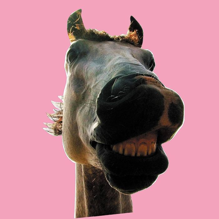 HIGH-LOWS - DO!!THE MUSTANG (REMASTERING)