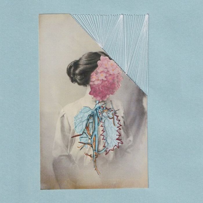 OHZORA KIMISHIMA - JUSO (INSERT)