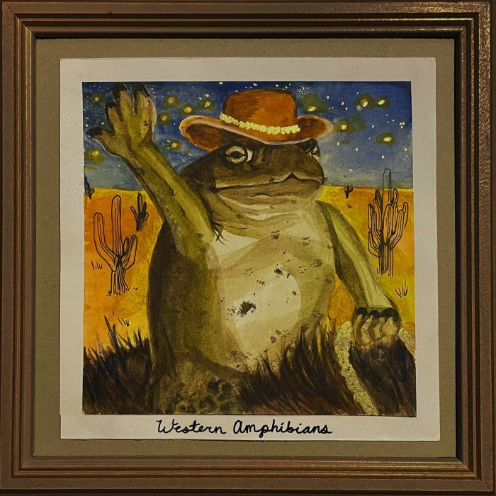 ANITA VELVEETA - WESTERN AMPHIBIANS (COLORED VINYL)