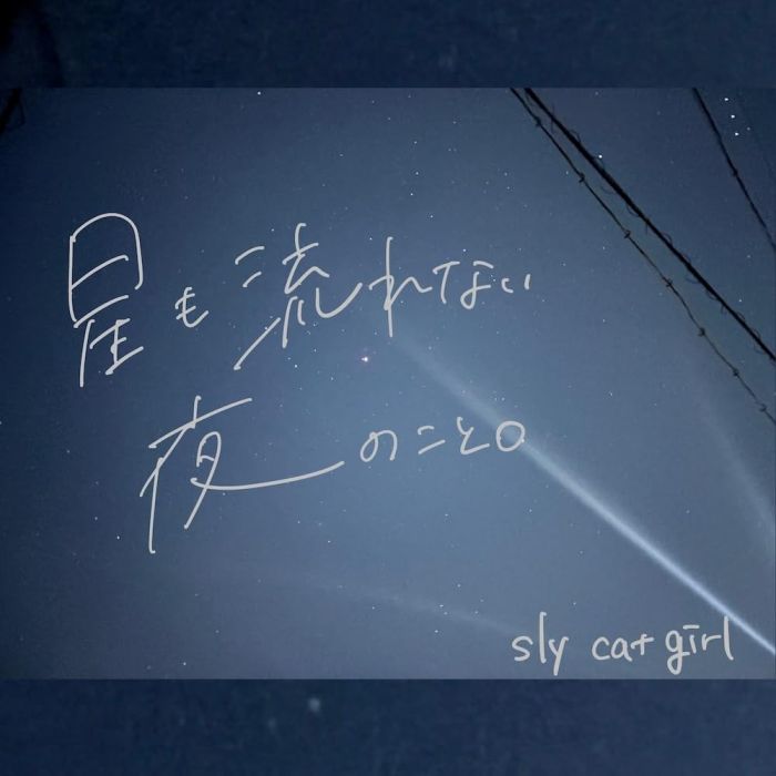 SLY CAT GIRL - HOSHI MO NAGARENAI YORU NO KOTO.