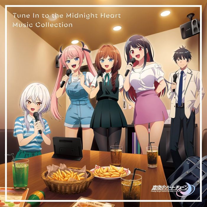 VARIOUS ARTISTS - TUNE IN TO THE MIDNIGHT HEART MUSIC COLLECTION