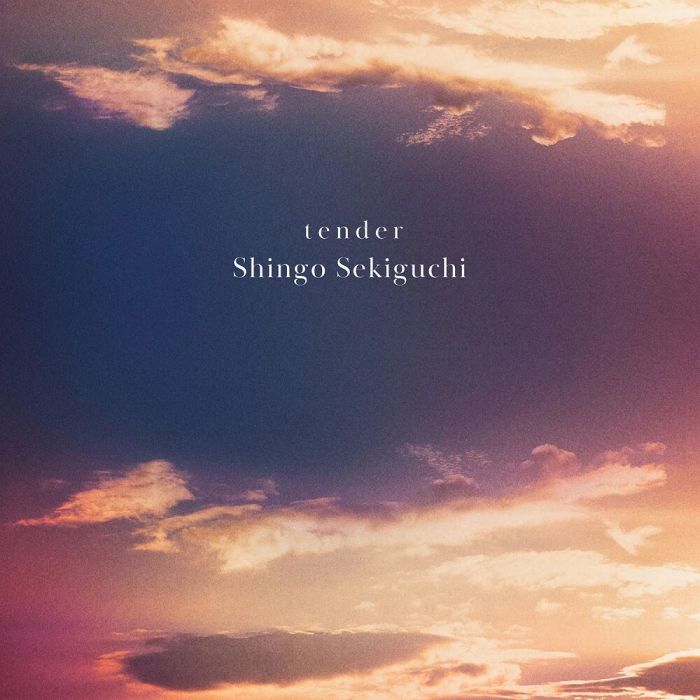 SHINGO SEKIGUCHI - TENDER