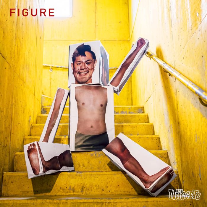 NUGGETS - FIGURE