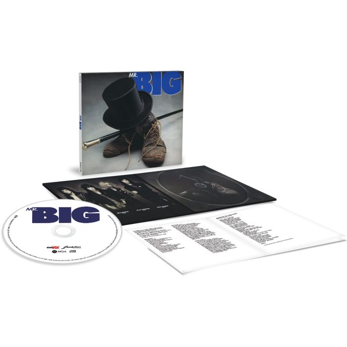 MR. BIG - MR. BIG