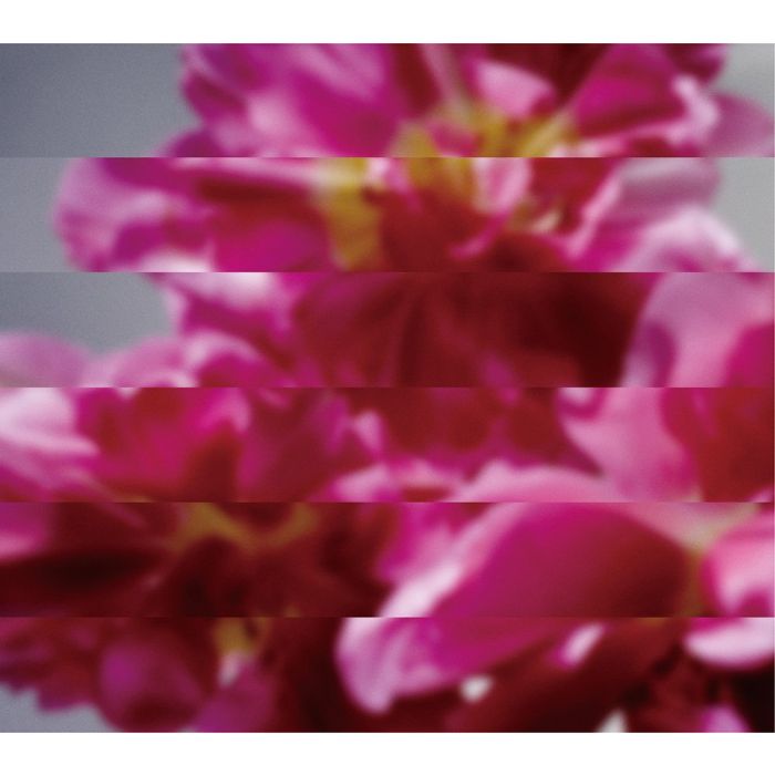 MONDO GROSSO - NANDO DEMO ATARASHIKU UMARERU